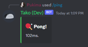 Screenshot of the Ping Command